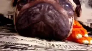 Посылки с Joom.