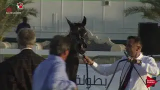 N 63 AURA O   UAE Nationals 2019