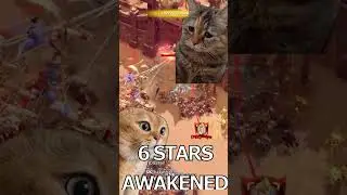 The Reality of Pass Rallying in Call of Dragons! 