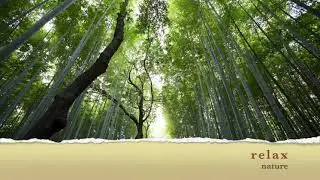 relaxing music for sleep