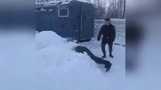 Рядовой снежок