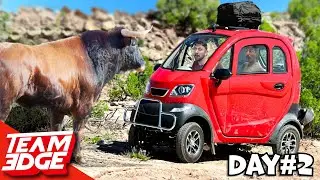 Wilderness Survival in a Tiny Car 🚗 - Day 2