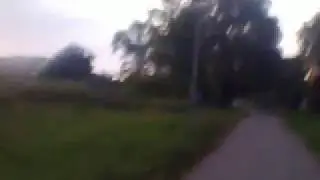 О ресурсах сена - сенокоса вдоволь!
