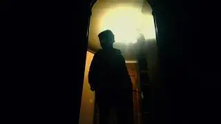 Ox.mp4