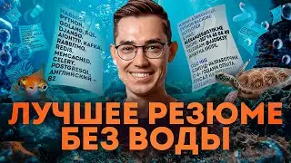 How to Create the Perfect Resume and Cover Letter