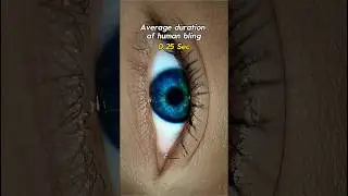 Try not to Blink 😳! What happens in blink of an Eye 