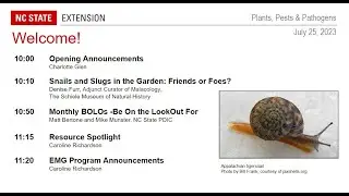 PPP July 2023 | Snails and Slugs in the Garden: Friends or Foes?