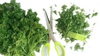 Ножницы для нарезки зелени 5 лезвий
