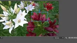 Эффект Цветовой баланс HLS  Premiere Pro