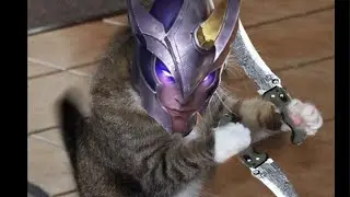 phi dép exe