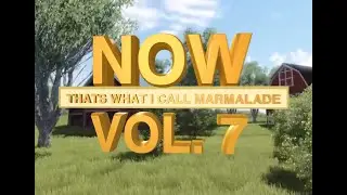 Now! That's What I Call Marmalade Vol. 7
