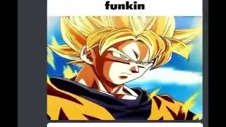 the rules to my discord server
