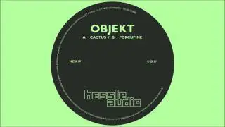 Objekt - Cactus