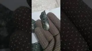 24 червня 2024 р.