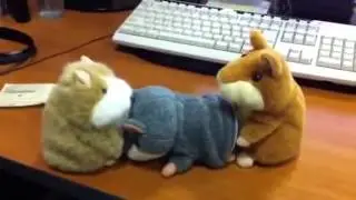 Говорящие хомяки