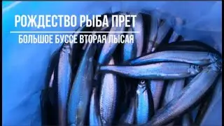 Сахалинская рыбалка БОЛЬШОЕ БУССЕ ВТОРАЯ ЛЫСАЯ