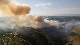 Pojar