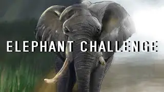One elephant two different painters - Elephant speed painting with Autodesk Sketchbook