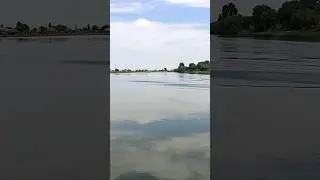 Кигач полноводный