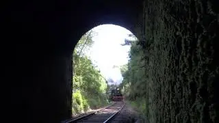 Tren de la Araucania, en Afquintue.