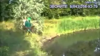 Борьба с комарами на даче