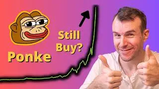 Is Ponke still cheap? ⚠ Crypto Token Analysis