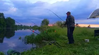 ЗАЇХАЛИ НА СТАРЕ МІСЦЕ ПОЛОВИТЬ НА КОРМАЧКИ. Рибалка на кормаки
