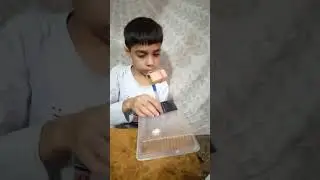 little master experiment
