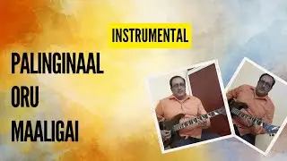 Palinginaal Oru Maaligai | Instrumental | Guitar | 1966