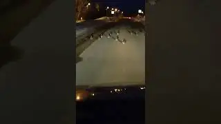 По дороге домой #куропатка #пернатые #базарово #кашира #ступино