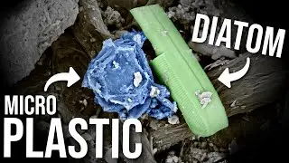 Extracting Microplastics with Olive Oil