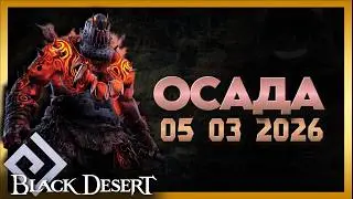 ОСАДА 05.03.2026 