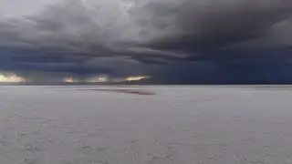 sweet T - Wasteland Blues