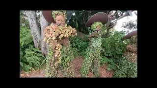 San Diego Botanic Garden