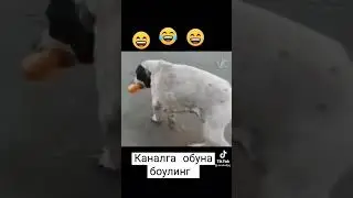 априс ит 🤣🤣🤣🤣🤣