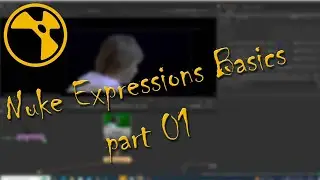 Nuke Tutorials || Nuke Expressions Basics part 01 [Hindi]