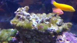 FTS Friday (Thursday Edition!) 11/17