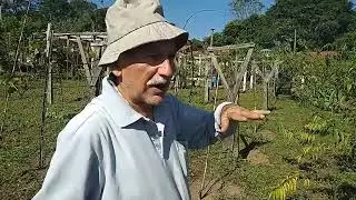 Tratamento de Inverno em Videiras com Sergio Semerdjian Ferraz 06/06/24  primeira etapa  (junho )