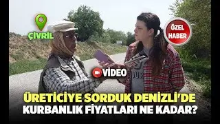 Üreticiye Sorduk Denizli'de Kurbanlık Fiyatları Ne Kadar?
