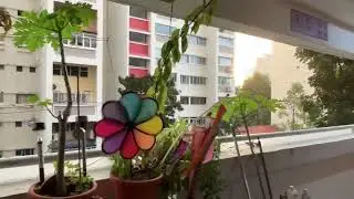 Rain that falls while the sun is shining is beautiful