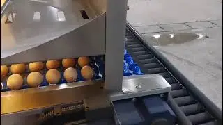 HIGHTOP 10,000 eggs per hour egg grading machine