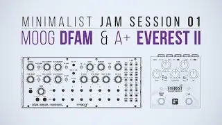 Moog DFAM & A+ by Shift Line Everest II | Minimalist Jam Session 01