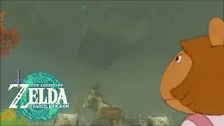 That Sign Can't Stop Me, Because I Can't Read (DW Get Out Of There That's Yiga Clan Territory!)