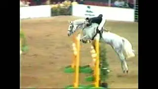 Horse Of The Year Show - Foxhunter - Aston Answers & Claire Jones