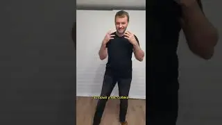 Отряхивающаяся собака