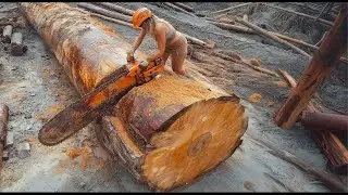 Amazing Cutting Huge Wood logs at the Most Powerful #Chainsaw #sawmill #woodworking #woodwork
