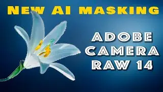 Ultimate Guide to Adobe Camera Raw ACR 14.  New Masking Option