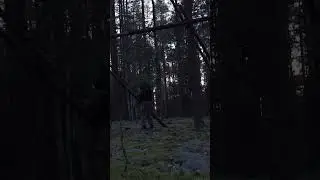 #шалаш #лес