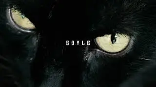 Olvi - SÖYLE