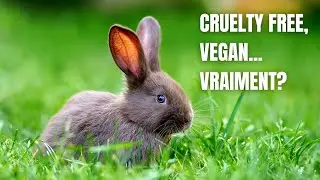 Les Tests sur Animaux en Cosmétique; Ce Qu'on Ne Vous Dit Pas...